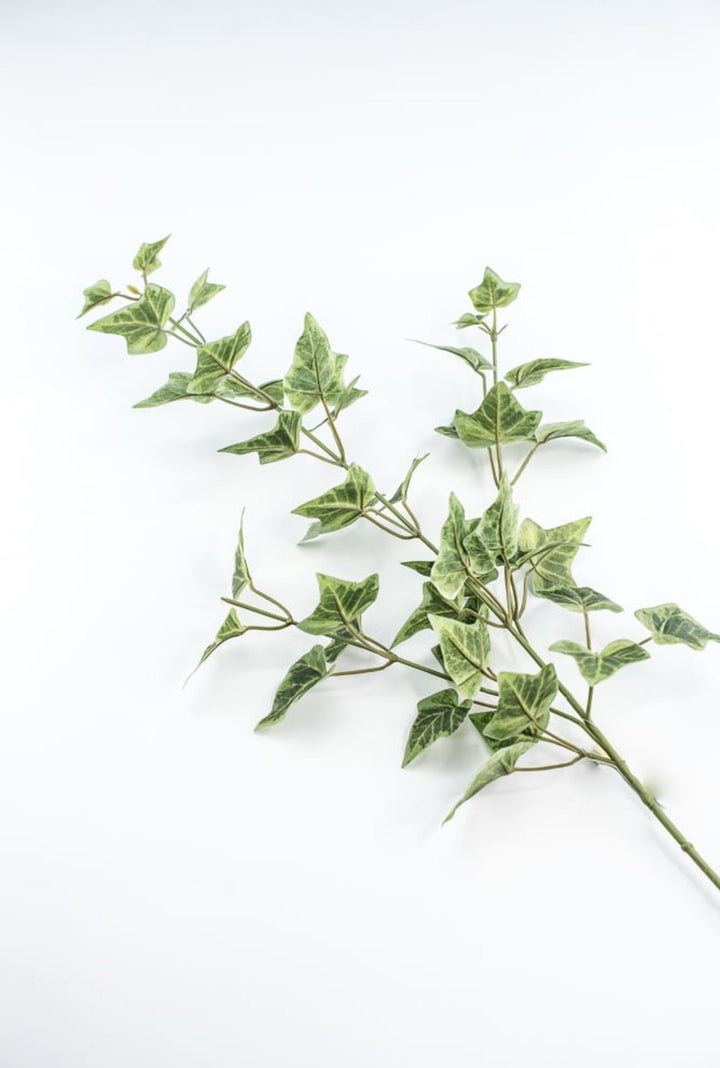 Green Ivy Spray - Greenery Market210026