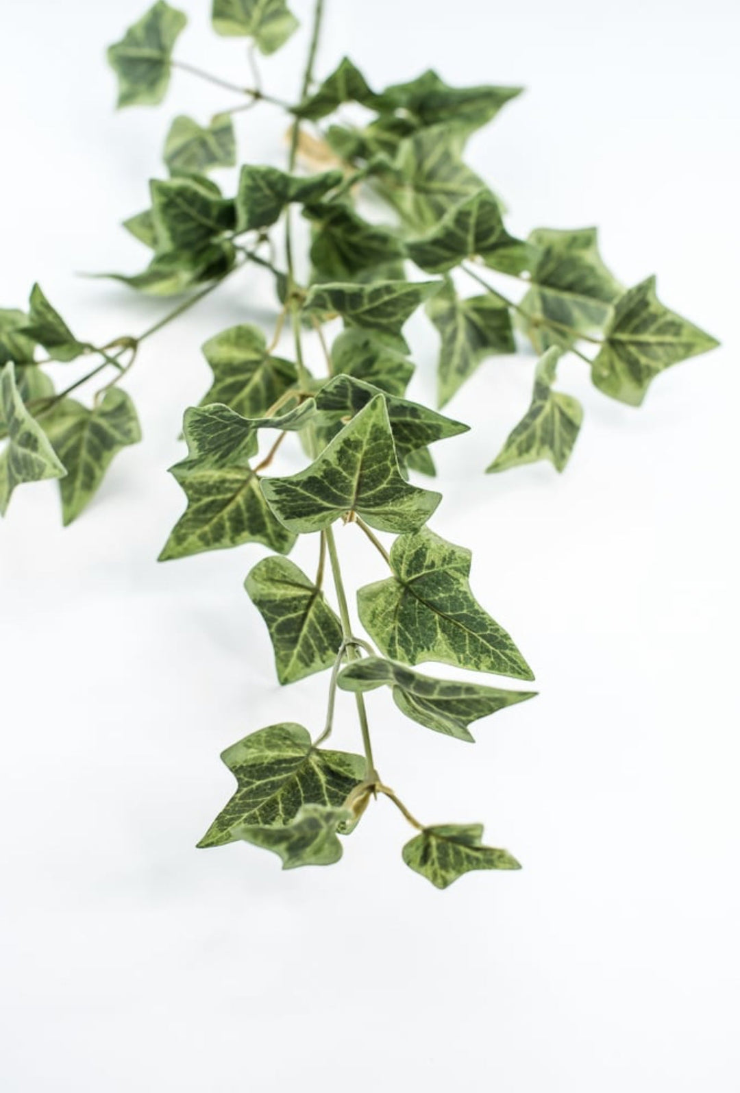 Green Ivy Spray - Greenery Market210026