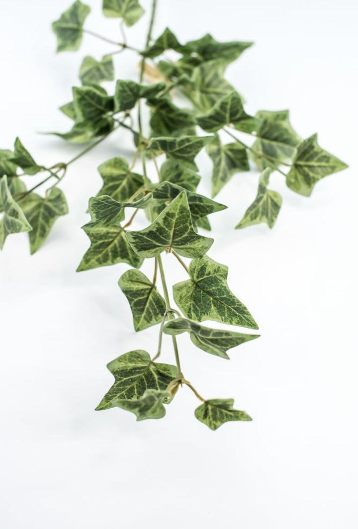 Green Ivy Spray - Greenery Market210026