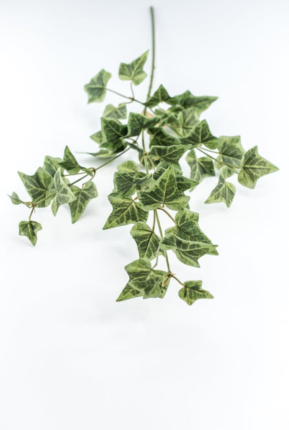 Green Ivy Spray - Greenery Market210026