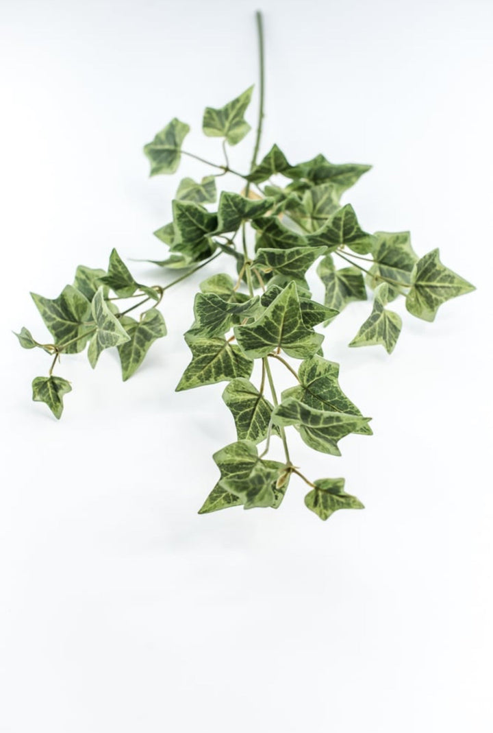 Green Ivy Spray - Greenery Market210026