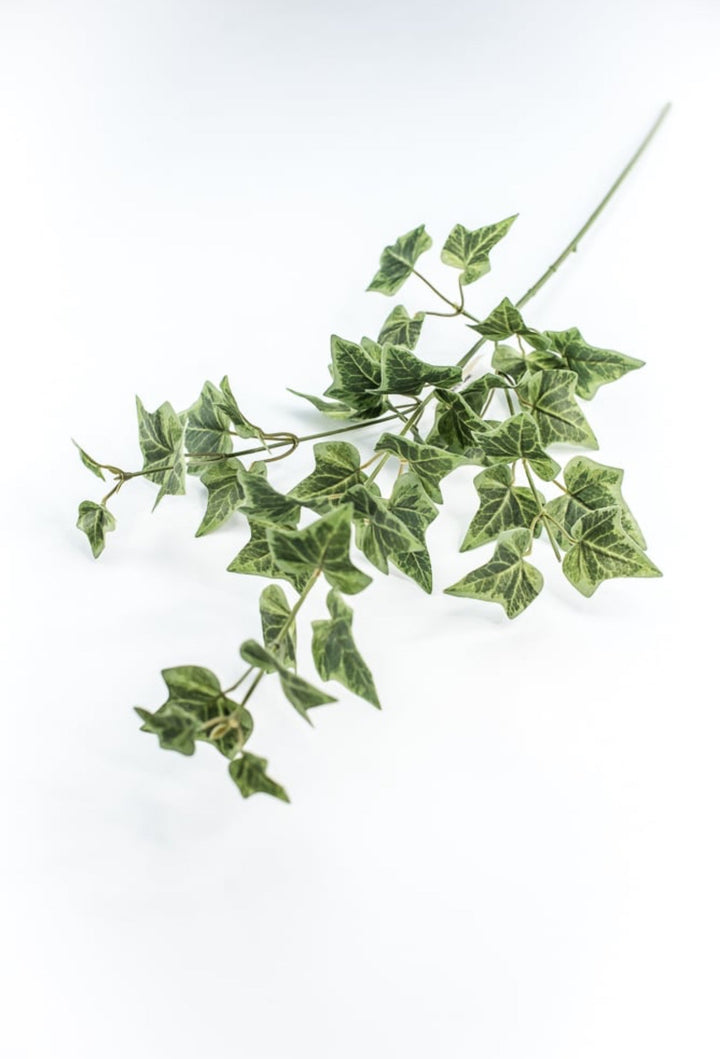 Green Ivy Spray - Greenery Market210026