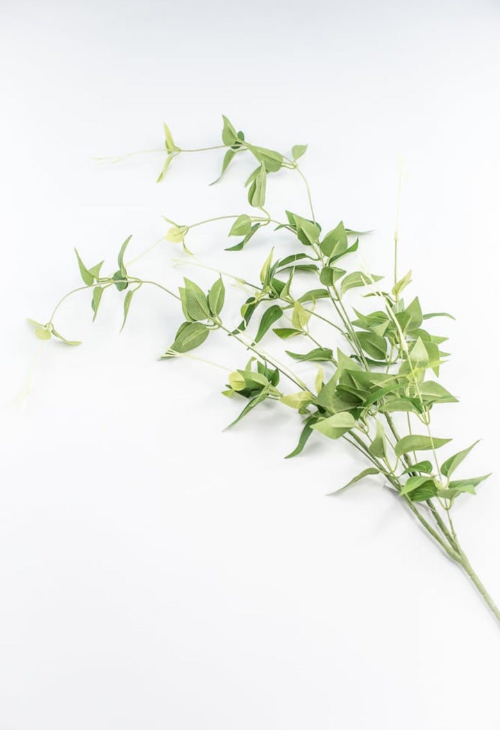Green Jasmine Vine Spray - Greenery Market241273