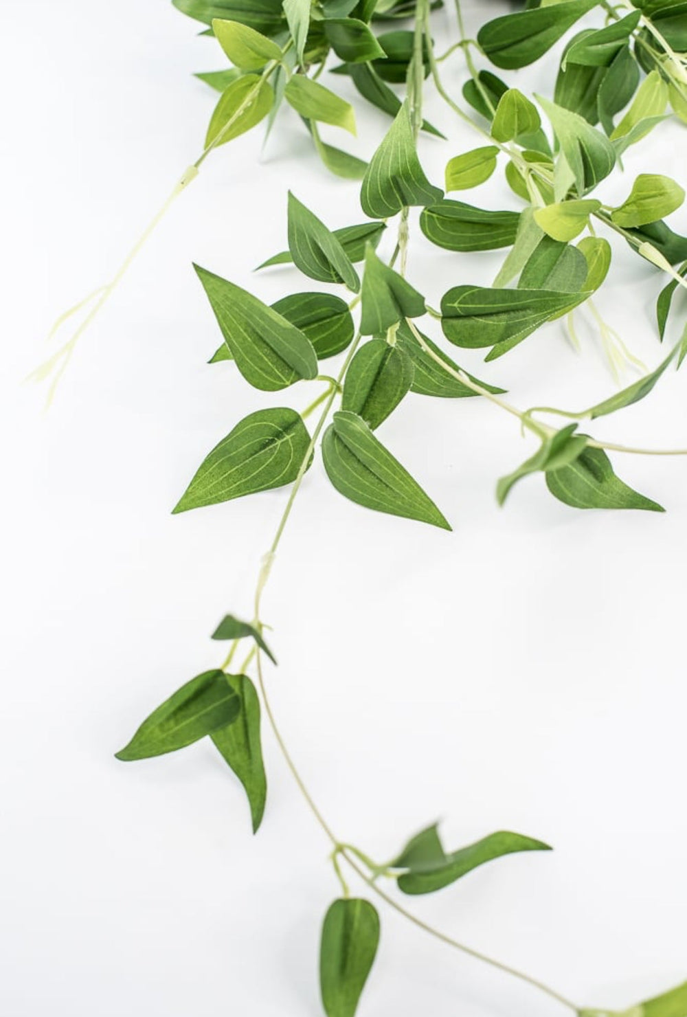 Green Jasmine Vine Spray - Greenery Market241273
