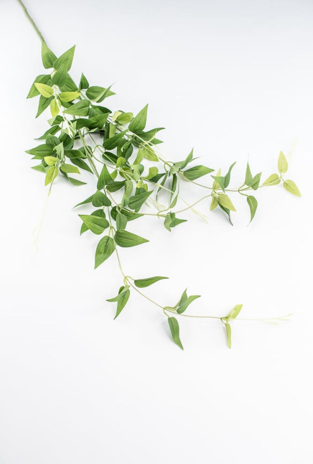 Green Jasmine Vine Spray - Greenery Market241273