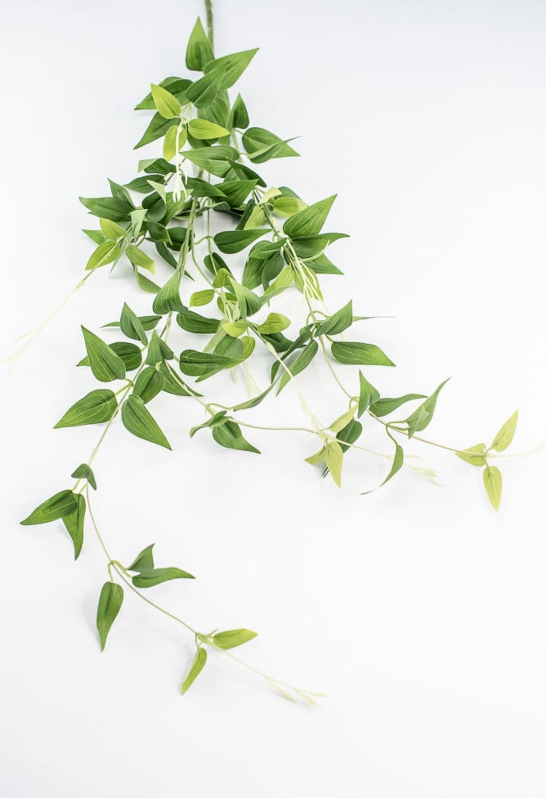 Green Jasmine Vine Spray - Greenery Market241273