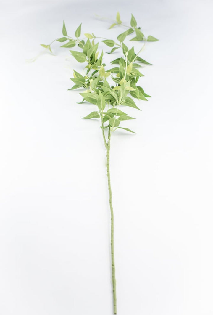 Green Jasmine Vine Spray - Greenery Market241273