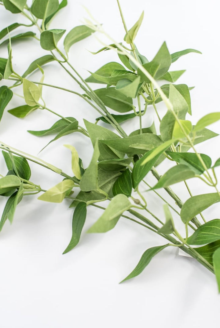 Green Jasmine Vine Spray - Greenery Market241273