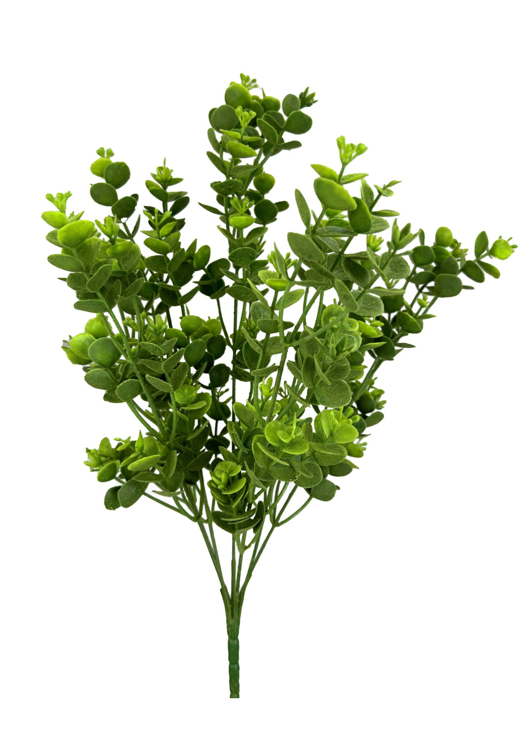 Green Moss Eucalyptus Bush - Greenery Market13643GN