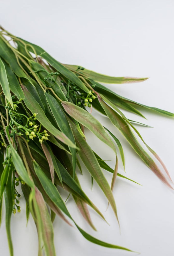 Green pink, Eucalyptus with seed greenery bush - Greenery Market26961