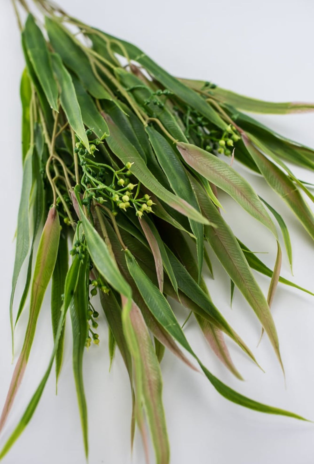 Green pink, Eucalyptus with seed greenery bush - Greenery Market26961