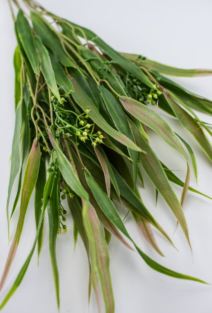 Green pink, Eucalyptus with seed greenery bush - Greenery Market26961