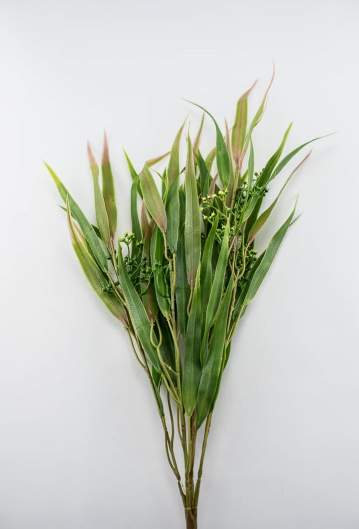 Green pink, Eucalyptus with seed greenery bush - Greenery Market26961