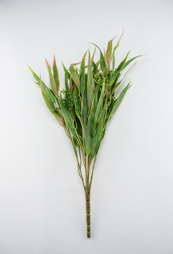 Green pink, Eucalyptus with seed greenery bush - Greenery Market26961