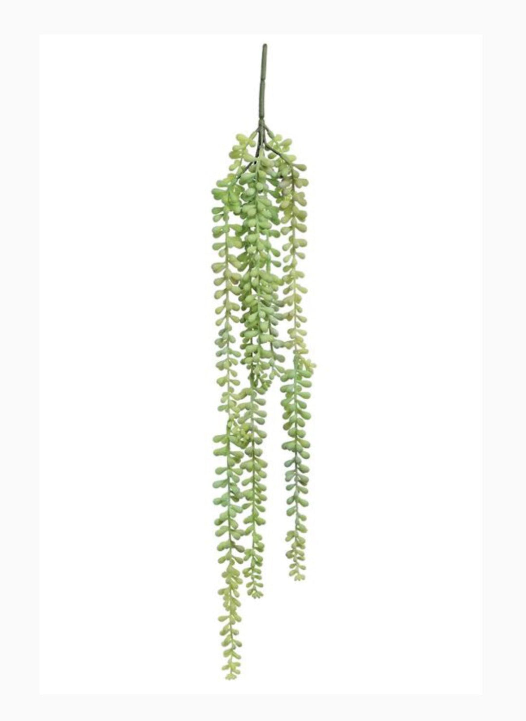 Green pink, hanging jellybean succulent - Greenery MarketArtificial SucculentsFL6183/L - GSGP
