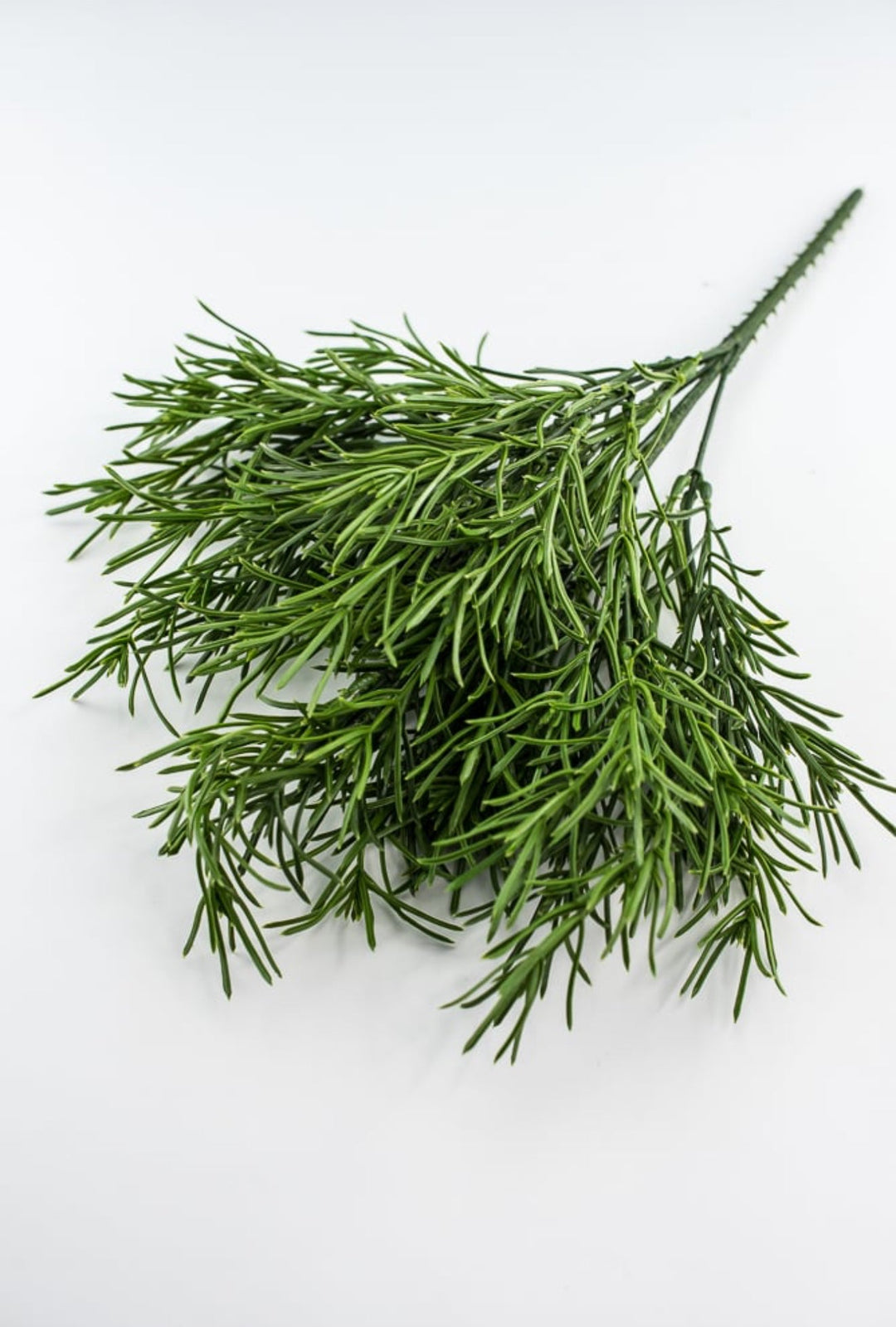 Green Rosemary Greenery bush - Greenery MarketgreeneryFL5035 - G