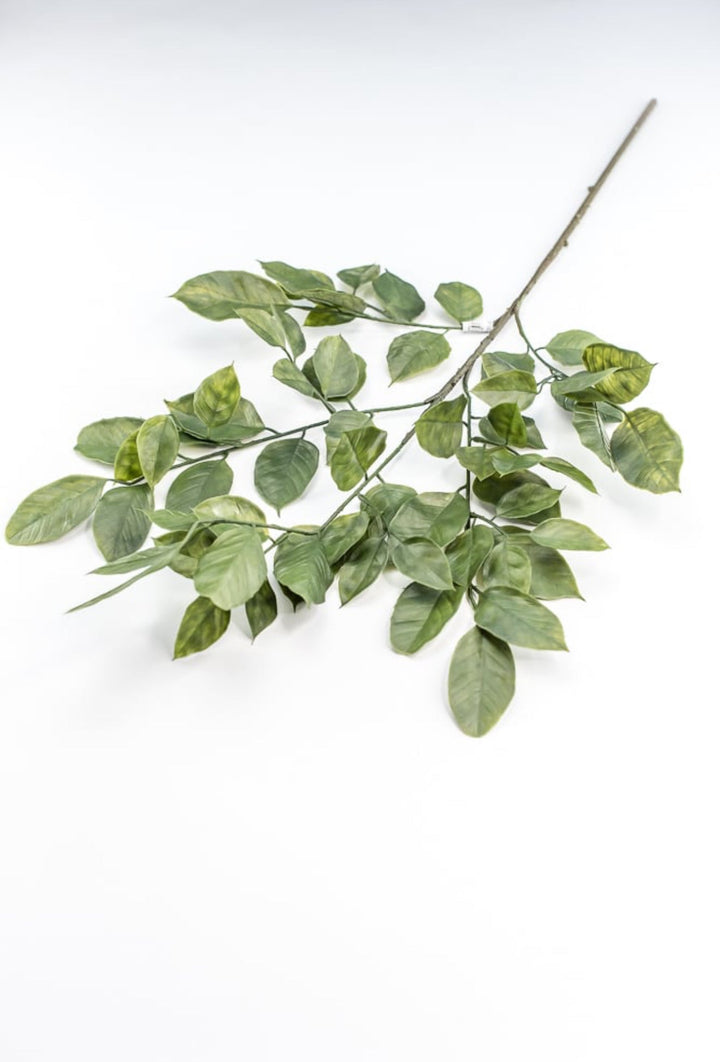 Green Salal Leaf Spray - Greenery Market220655