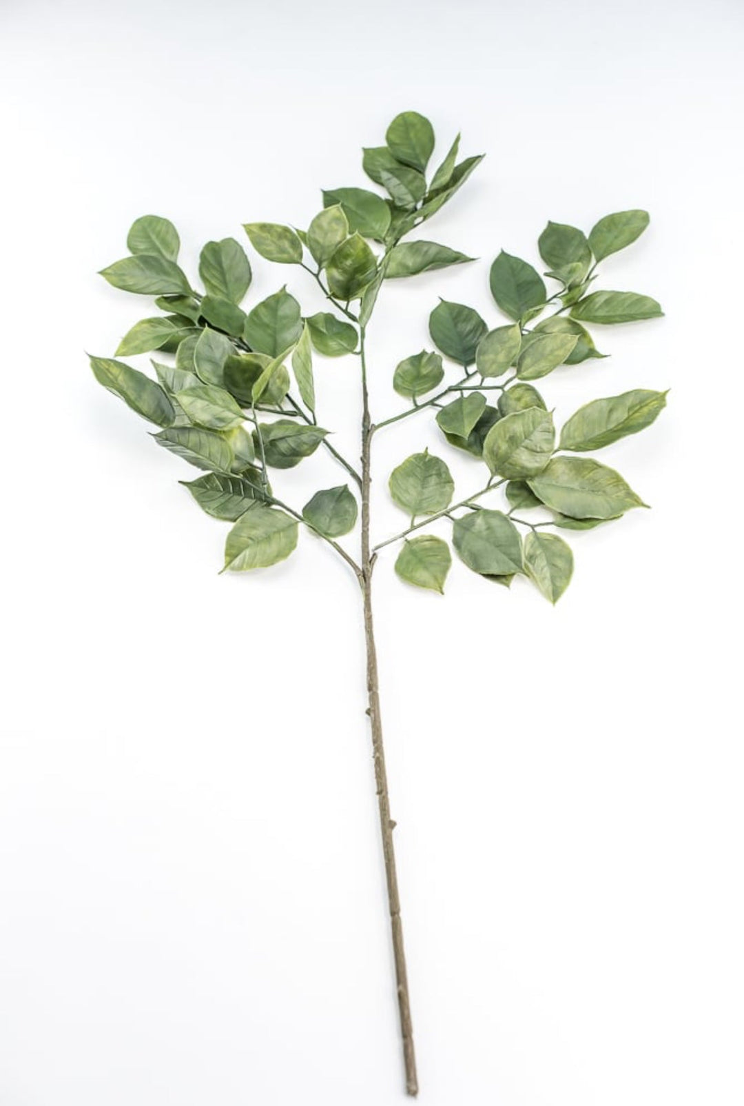 Green Salal Leaf Spray - Greenery Market220655