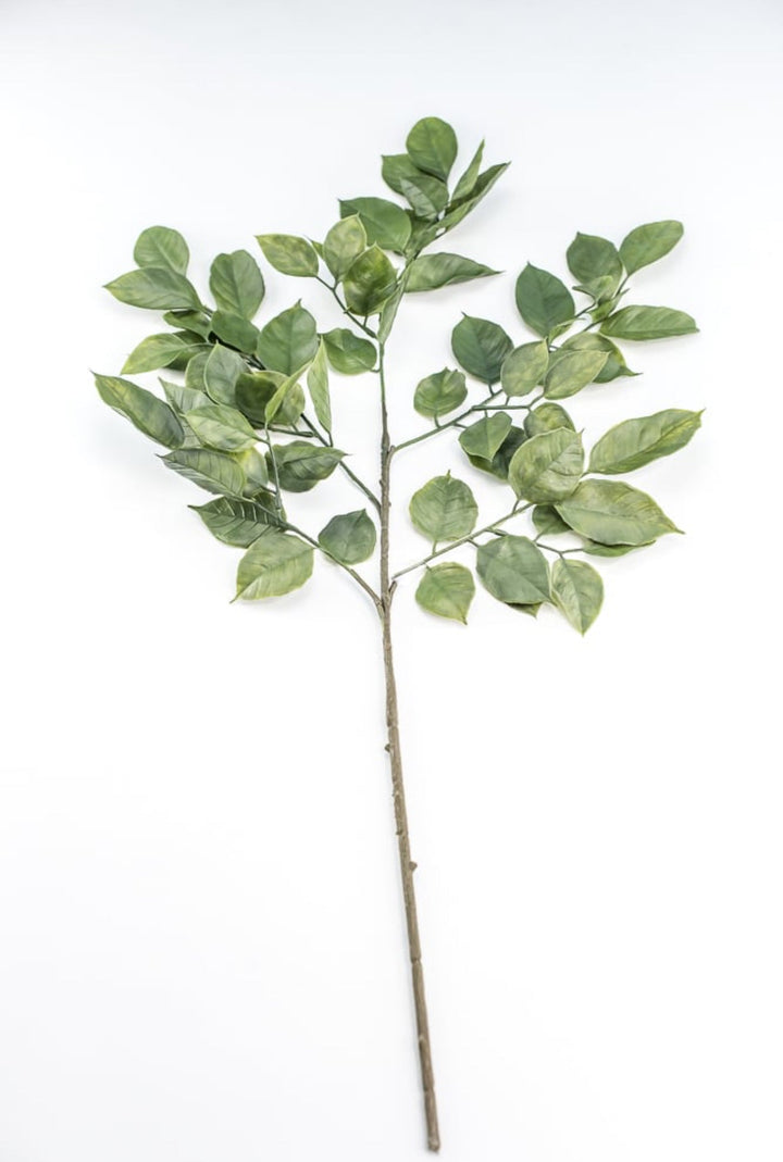 Green Salal Leaf Spray - Greenery Market220655