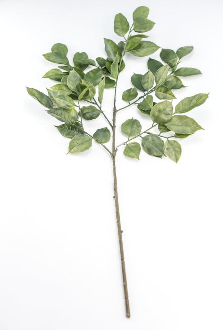 Green Salal Leaf Spray - Greenery Market220655