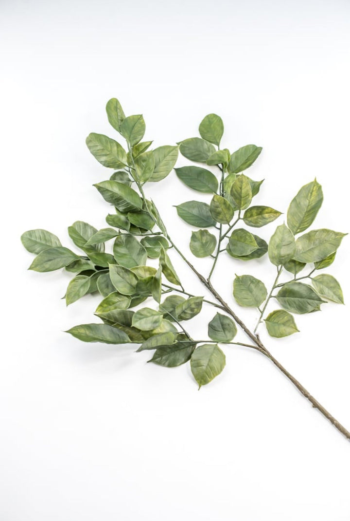 Green Salal Leaf Spray - Greenery Market220655