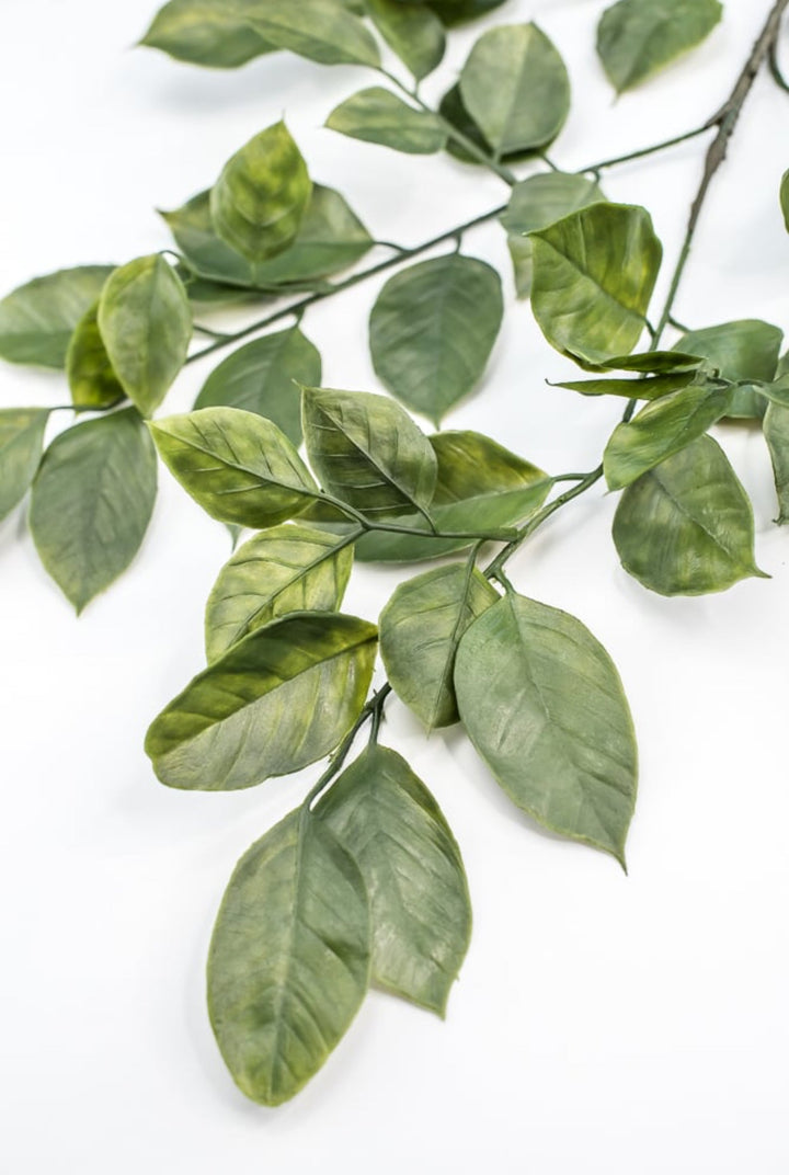Green Salal Leaf Spray - Greenery Market220655