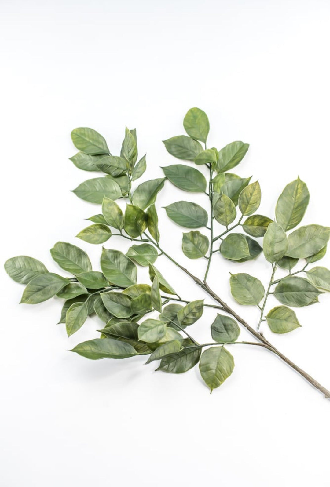 Green Salal Leaf Spray - Greenery Market220655