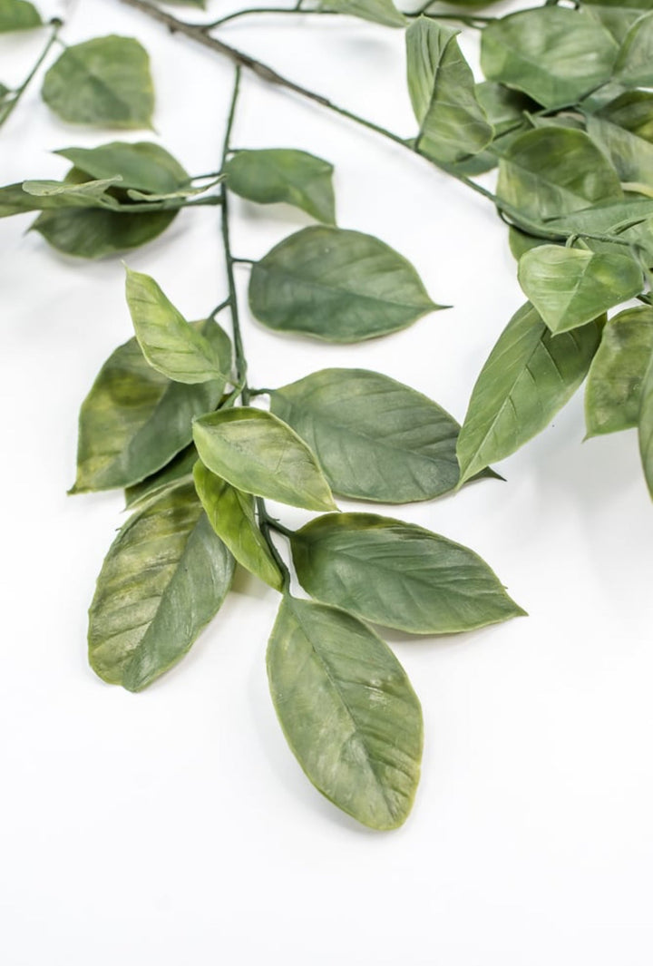 Green Salal Leaf Spray - Greenery Market220655