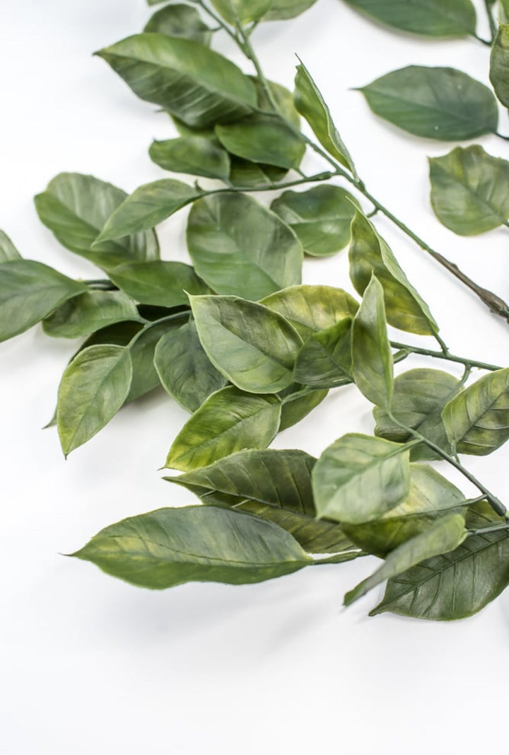 Green Salal Leaf Spray - Greenery Market220655