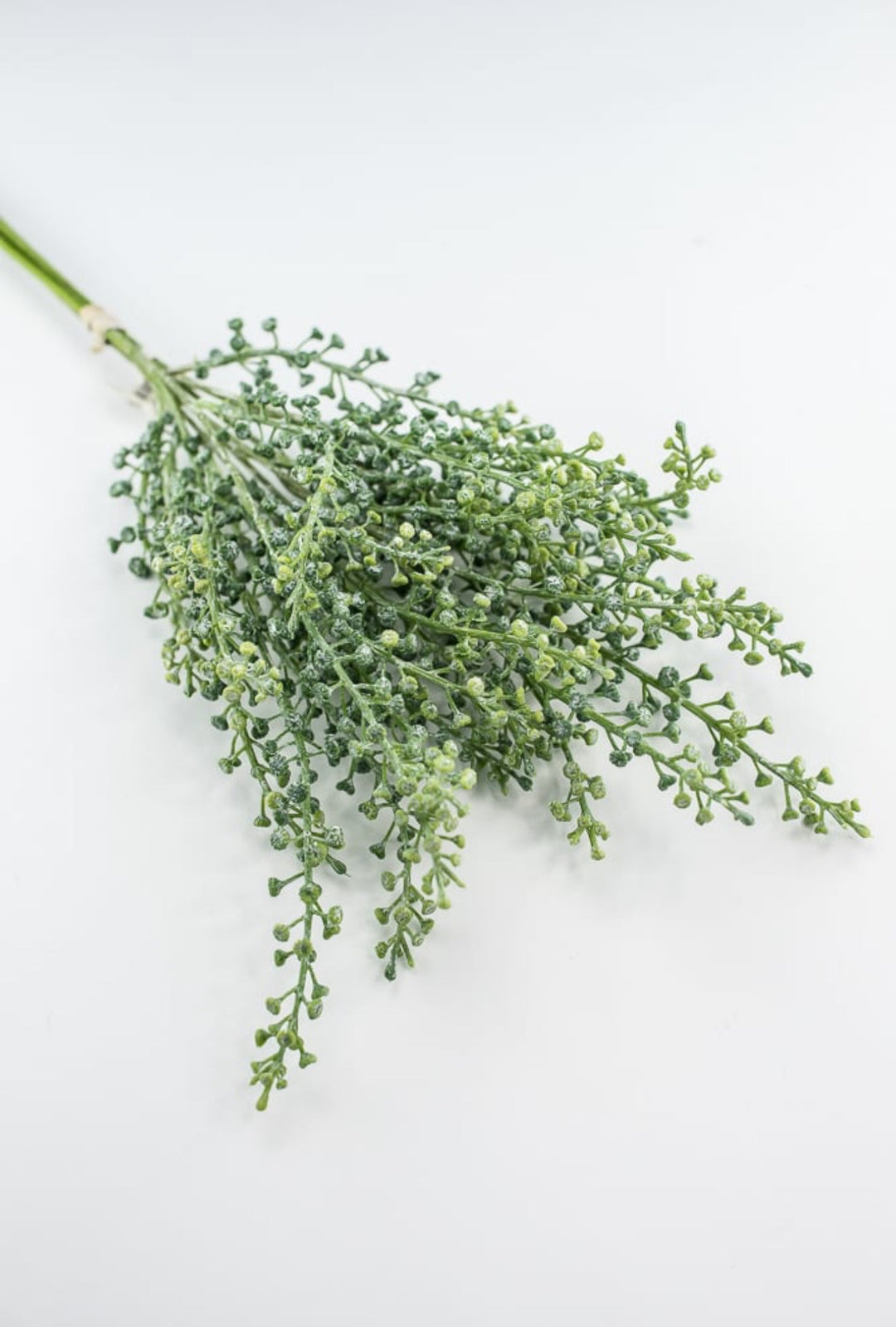 Green seeds bundle - Greenery MarketFL6354 - G