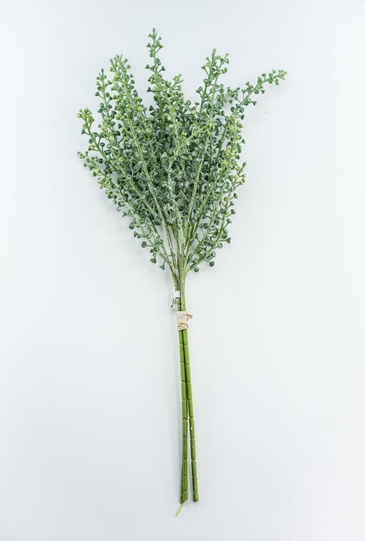 Green seeds bundle - Greenery MarketFL6354 - G