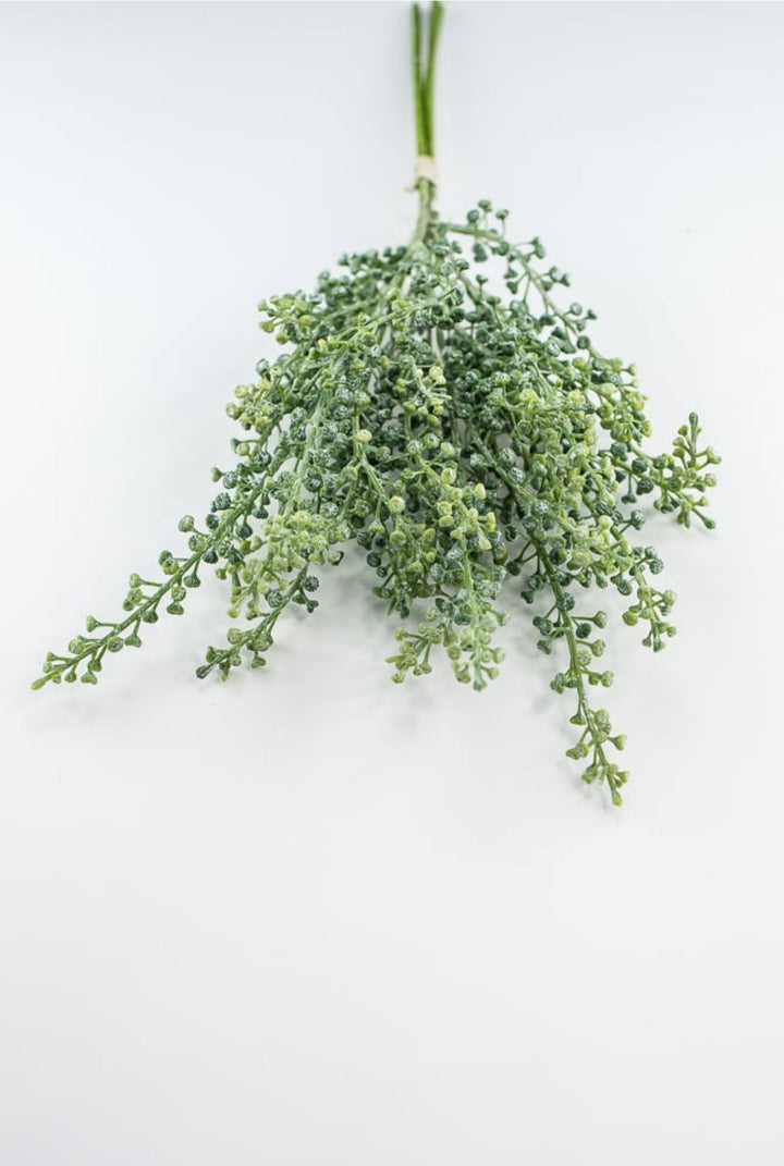 Green seeds bundle - Greenery MarketFL6354 - G
