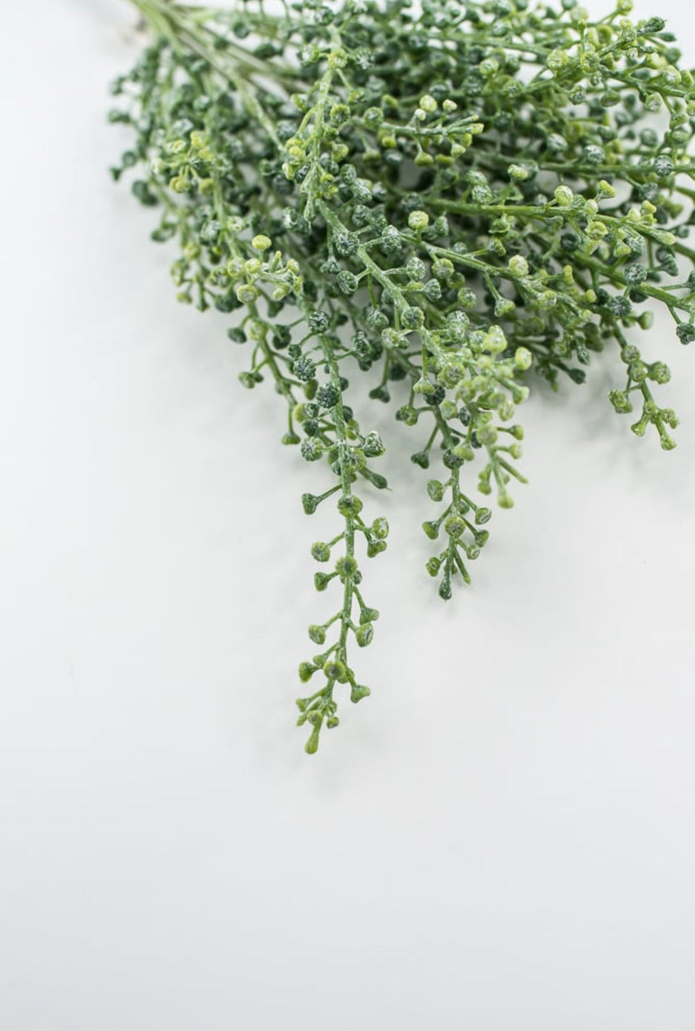 Green seeds bundle - Greenery MarketFL6354 - G