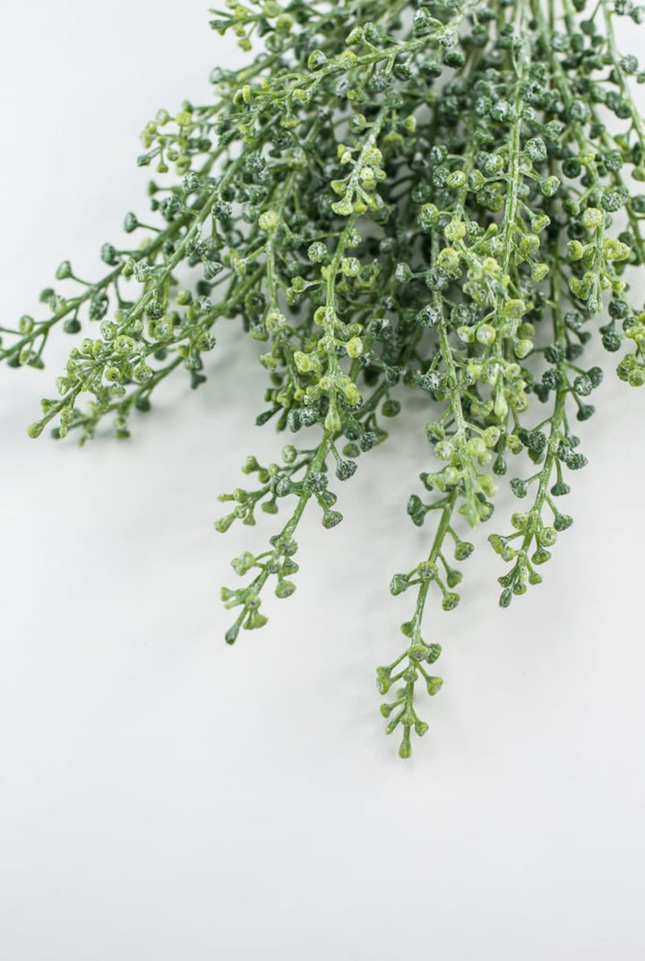 Green seeds bundle - Greenery MarketFL6354 - G
