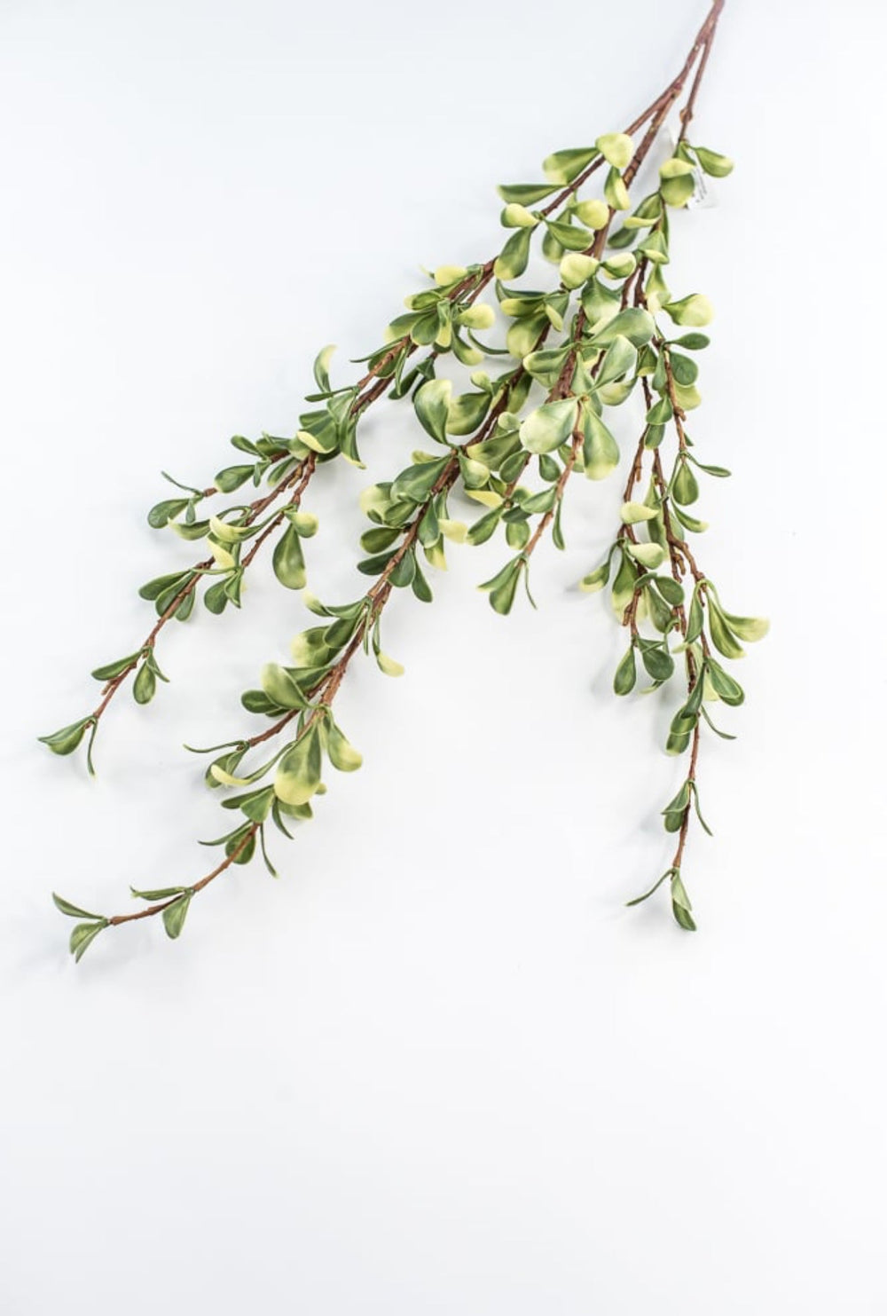 Green Small Leaf Spray - Greenery Market219587