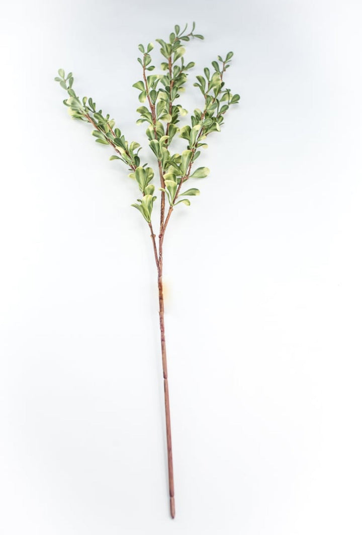 Green Small Leaf Spray - Greenery Market219587