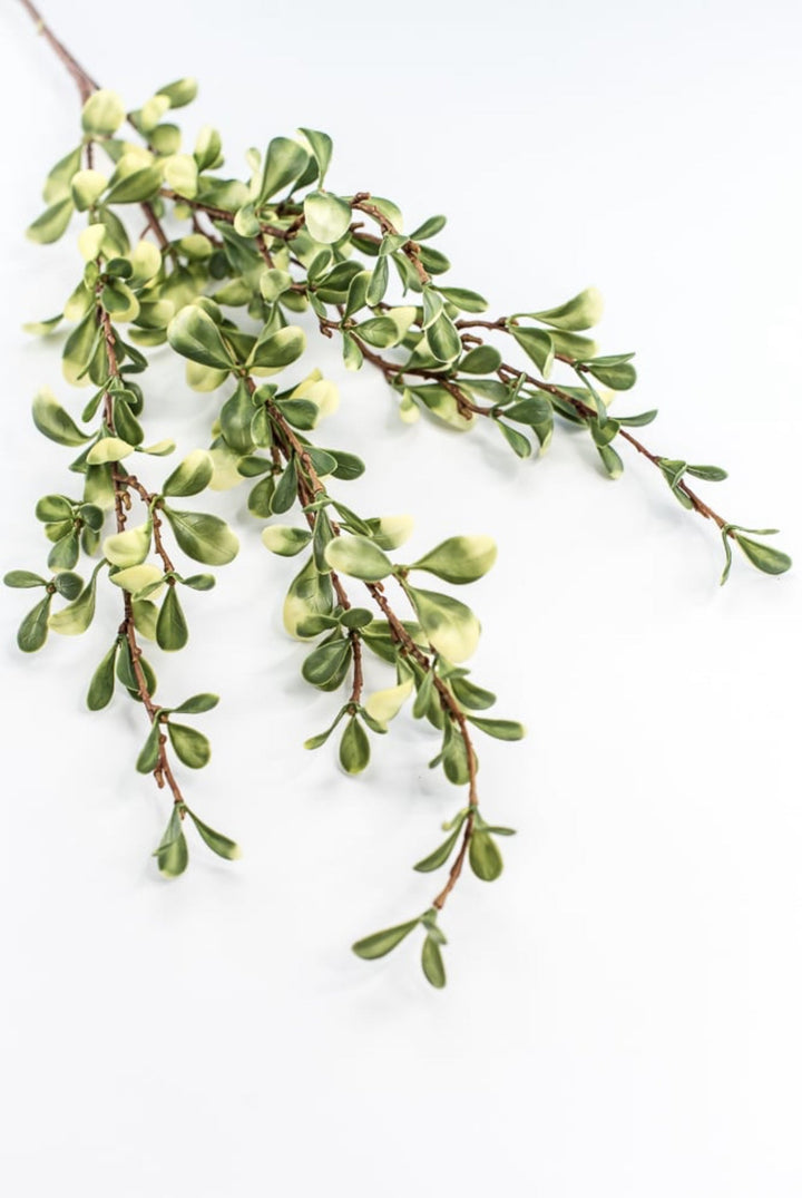 Green Small Leaf Spray - Greenery Market219587