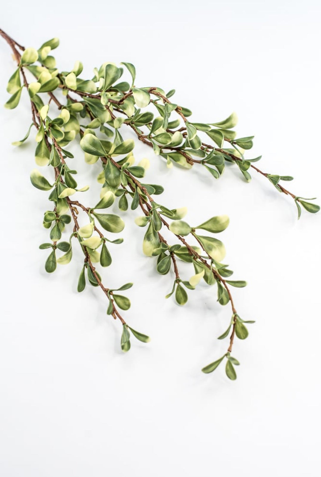 Green Small Leaf Spray - Greenery Market219587