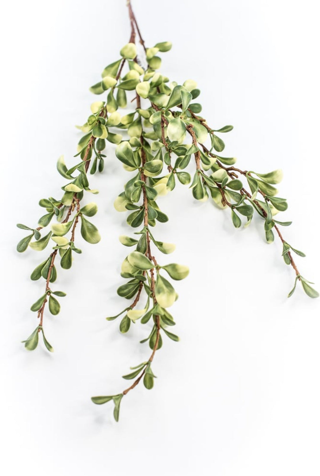Green Small Leaf Spray - Greenery Market219587