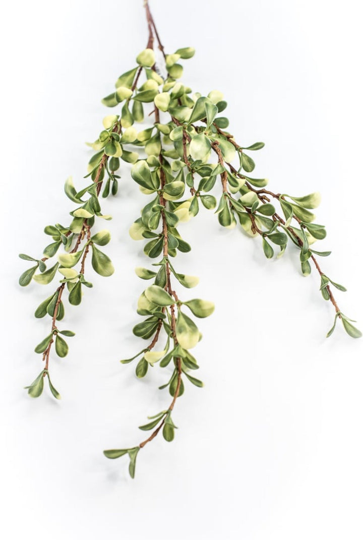 Green Small Leaf Spray - Greenery Market219587