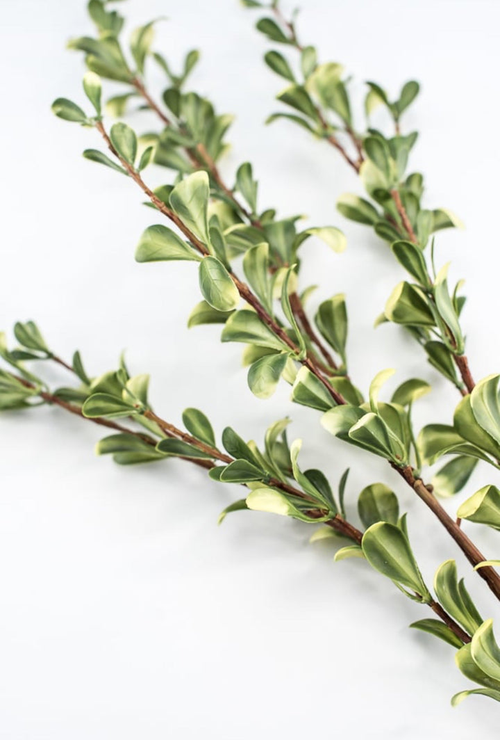 Green Small Leaf Spray - Greenery Market219587