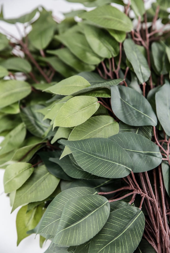 Green two toned green Ficus spray - 1 dozen - Greenery Market57000 - GN