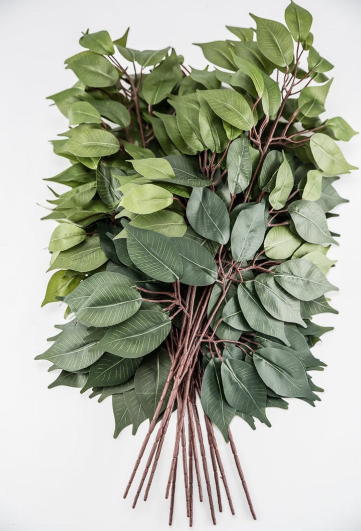 Green two toned green Ficus spray - 1 dozen - Greenery Market57000 - GN