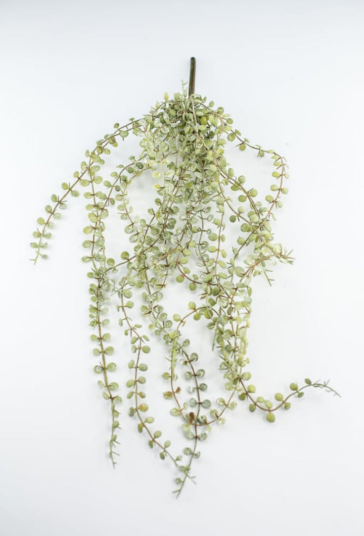 Hanging button fern bush - Greenery MarketArtificial FloraFL4491 - SG