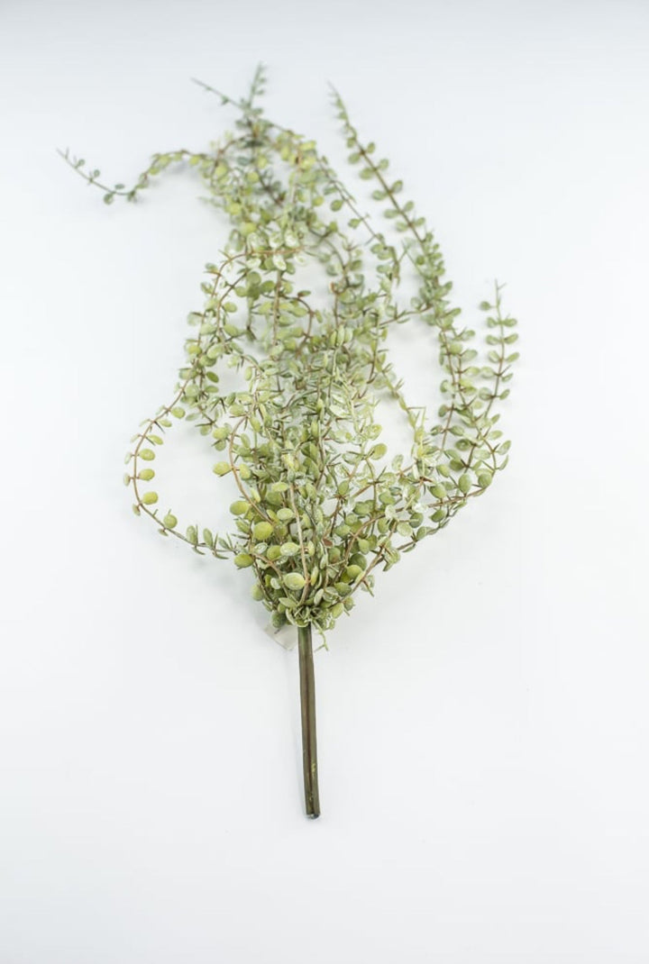 Hanging button fern bush - Greenery MarketArtificial FloraFL4491 - SG