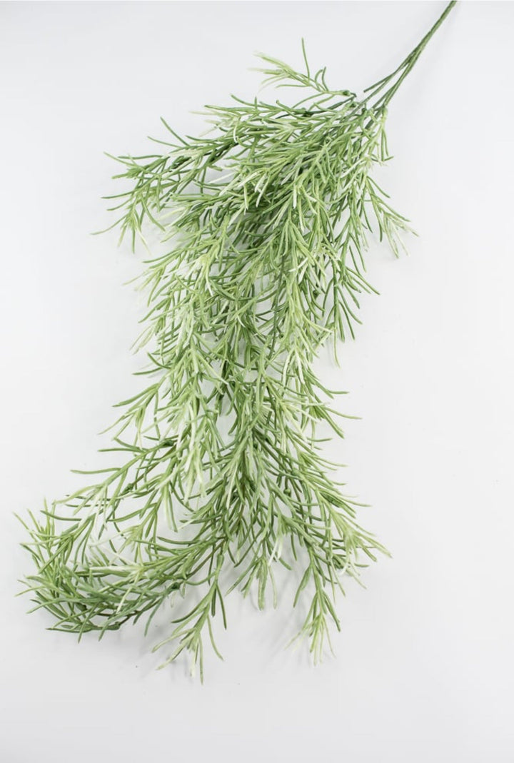 Hanging Sage green Rosemary Greenery bush - Greenery Marketgreeneryfl5036 - sg