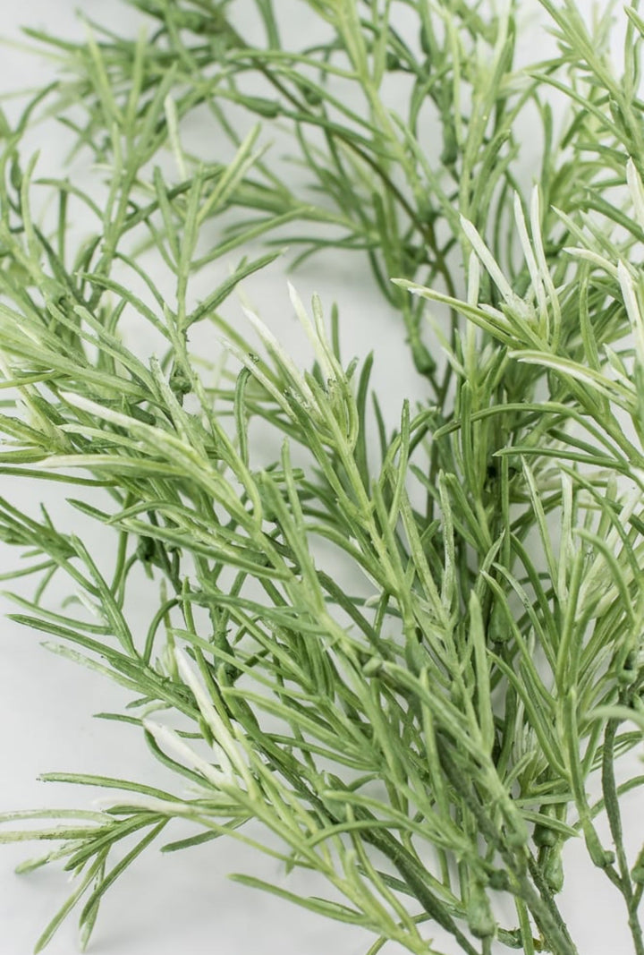 Hanging Sage green Rosemary Greenery bush - Greenery Marketgreeneryfl5036 - sg