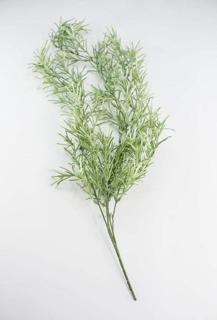 Hanging Sage green Rosemary Greenery bush - Greenery Marketgreeneryfl5036 - sg
