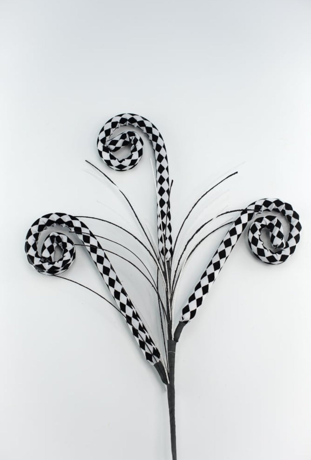Harlequin curly sprays - black and white - Greenery MarketPicksMN018336