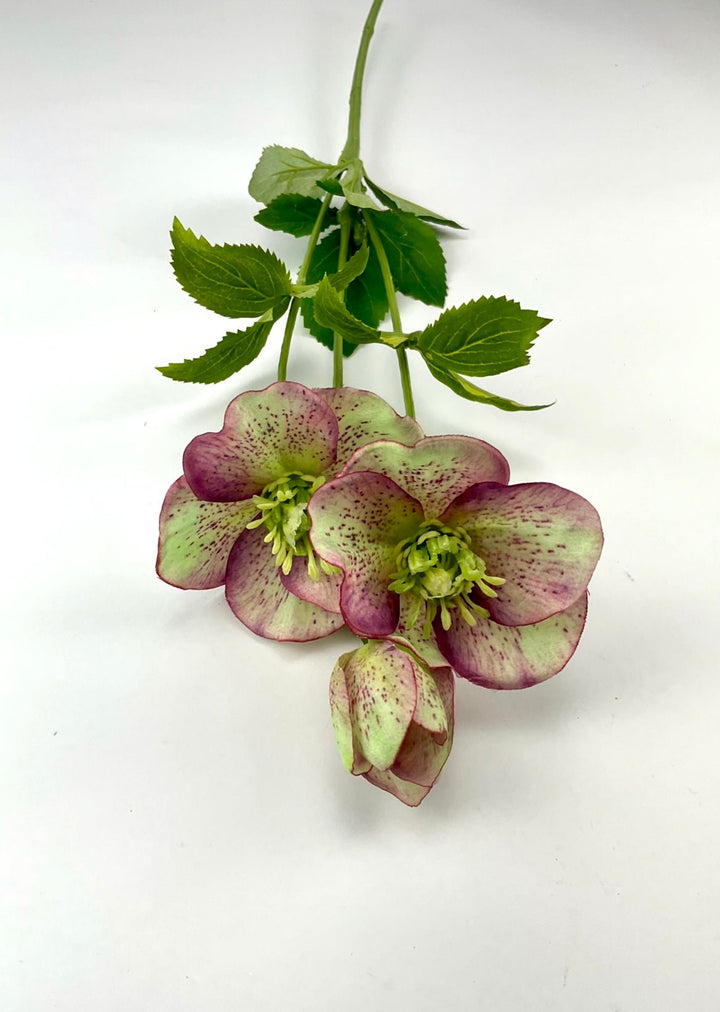 Hellebore artificial flower spray, fresh touch - Greenery Marketartificial flowers5099-plg